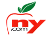 NY.com logo